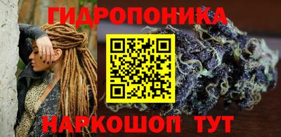 соль ск Дубна