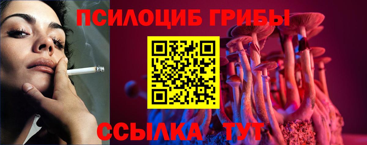 Галлюциногенные грибы Cubensis  цены   Надым  Галлюциногенные грибы MAGIC MUSHROOMS  Вход с VPN 